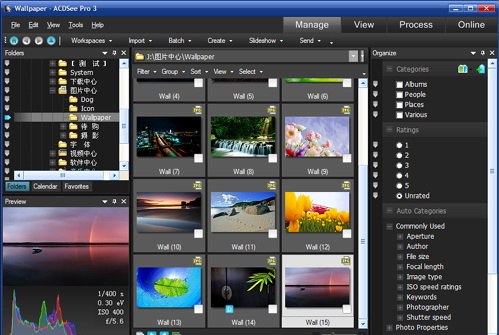 acdsee9.0İ