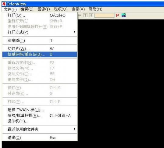 irfanview中文版下载